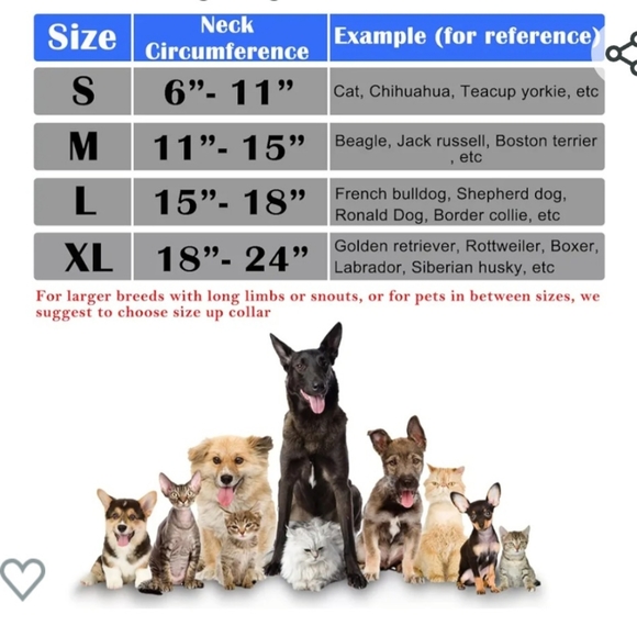 Katoggy inflatable dog collar (medical) in Large. - Picture 6 of 9